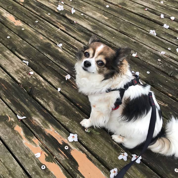 C4b8937e d5ce 4406 b32c 0b51c3e6f9bb 1712205584203