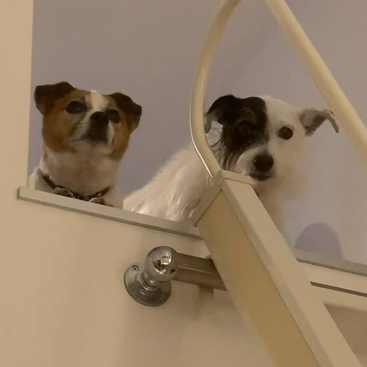 C4b8974a 7ef3 428c aebe 351167274736 1633511313893