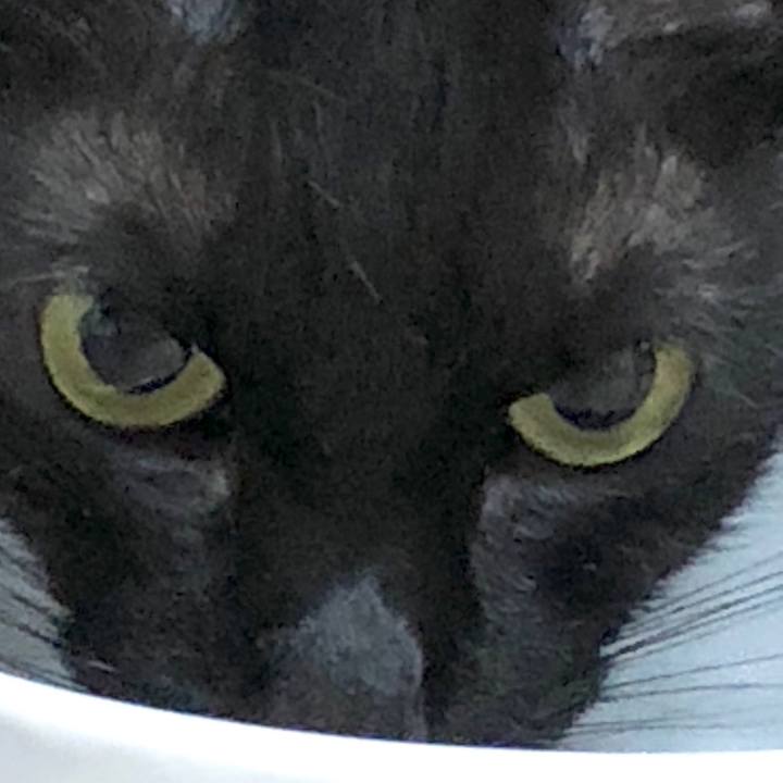 C4b89d3b 1810 4d68 9404 e230091c8037 1596287191503