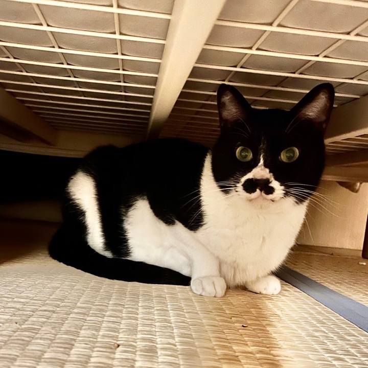 C4b8d19a 12ed 47f4 9ccf 752c42def4c0 1679831908790