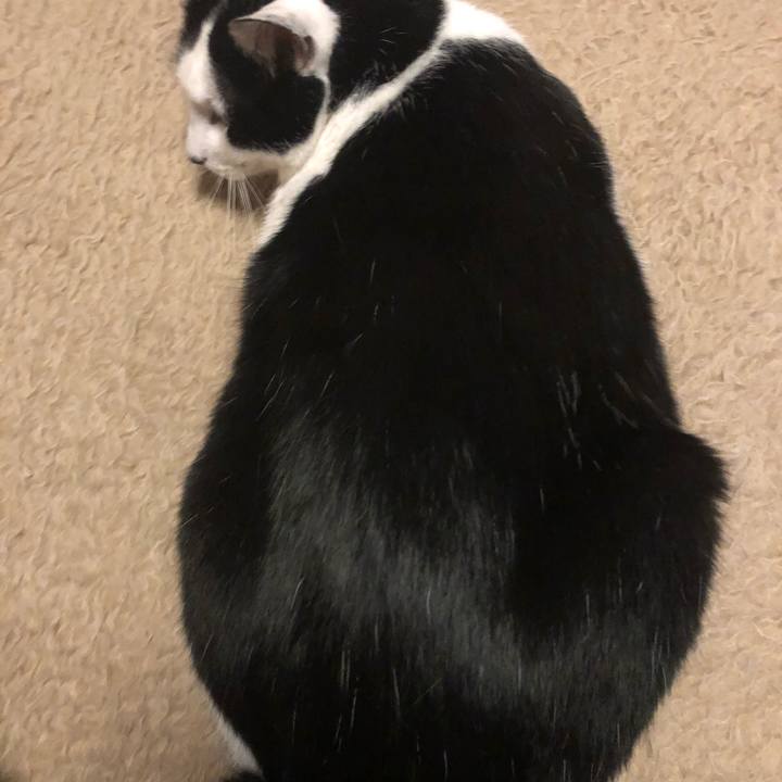 C4b8d1cd 5145 4600 8722 b09052949129 1608671177915