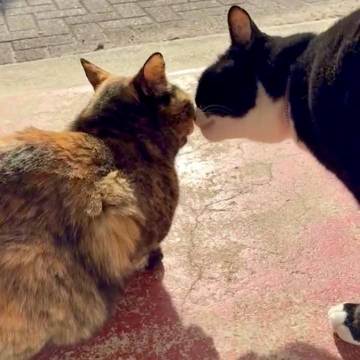 C4b8d73a e75e 4fbf b861 ef3b5dd67afd 1768185110385