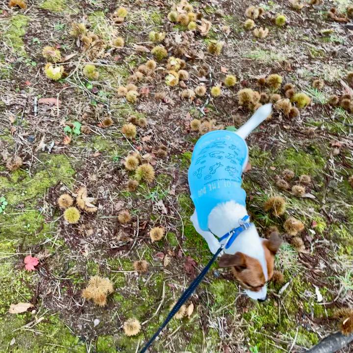 C4b8d924 49e2 482c b4dd 136bfaebdfc8 1633930106364