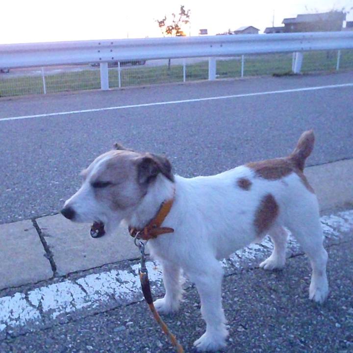 C4b8df40 0f03 4373 8662 3ea45f64a6be 1537445000427