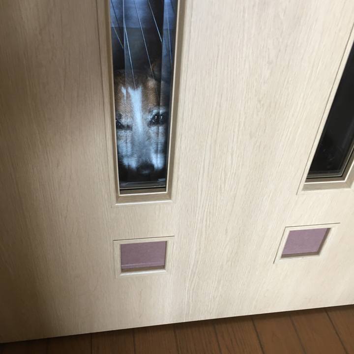 C4b902b8 5640 4724 afde 3d9b6c0398ad 1616202720881