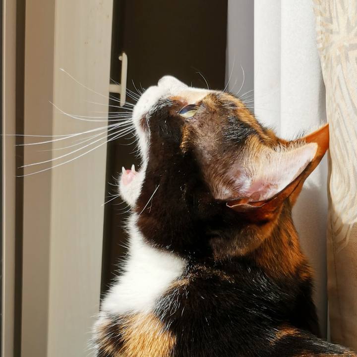 C4b93cac da3b 4a54 b23c 20248e6e4e2b 1683604719196