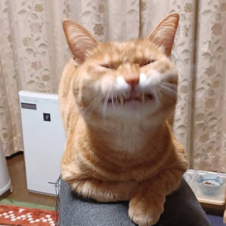 C4b965ae a534 43ea bab6 3cc780ee268c 1669653823343