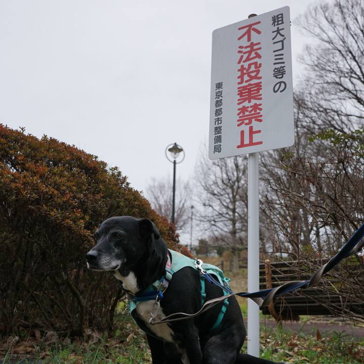 C4b9c48f afe2 4a0c 8e26 ac4fcb00b274 1772413025479