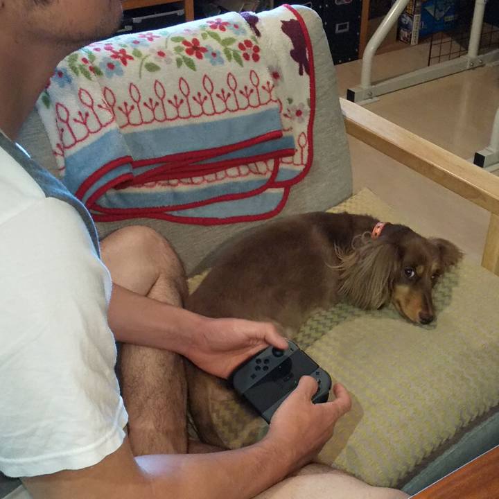 C4b9e2f7 d6bc 492a ba10 40e9baa8511a 1561784119809