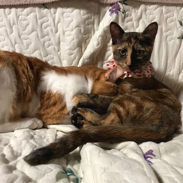 C4ba785b 18b8 41cb 905a 50f8e61b887c 1612012969828