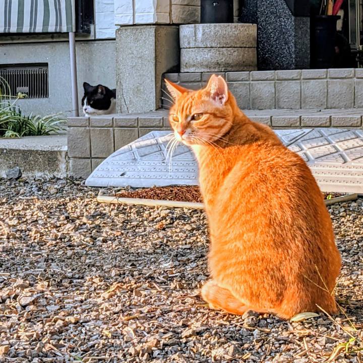 C4bab0e0 0436 451f a050 5b5ee85d014f 1762589996508