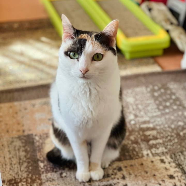 C4bae11b beed 4e02 aabf 2afd0164fb05 1650422775133