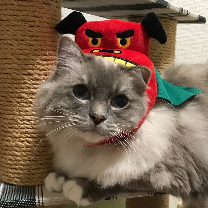 C4bb6680 ef08 4e37 bb6e 4e59492afb6a 1514791846526