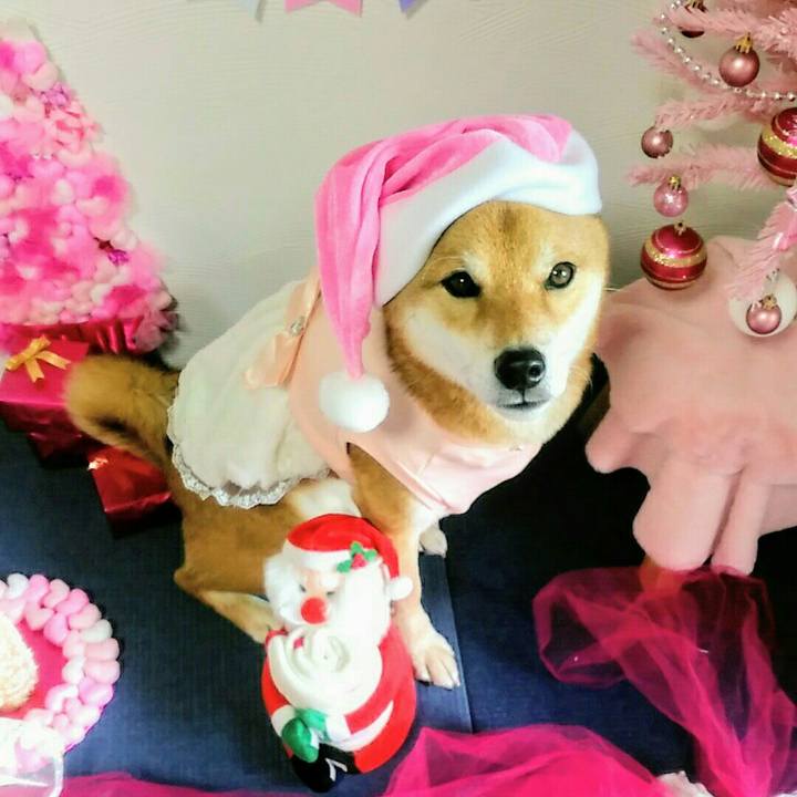 C4bb742e aff0 4369 813c fdb61ad51945 1576971361378