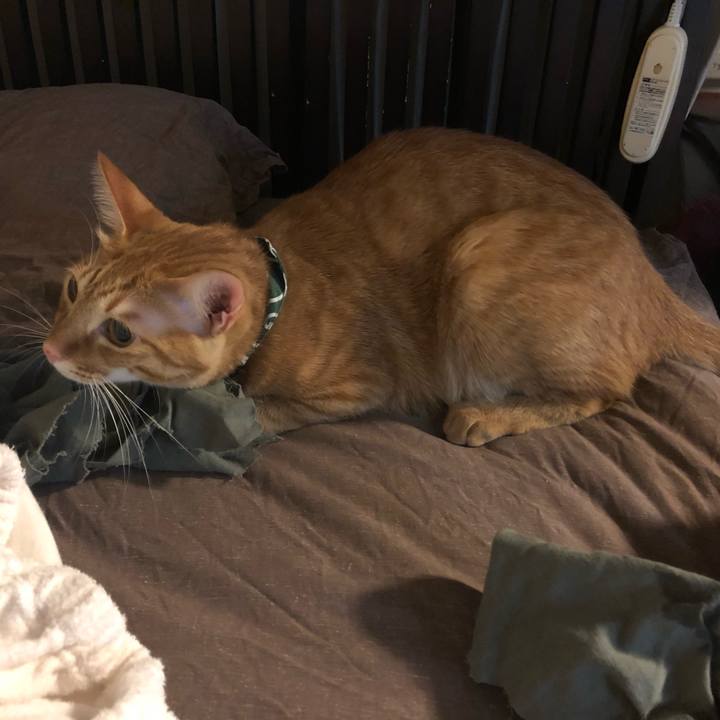 C4bbb710 45a4 48f3 8826 46fb33e90349 1635673807272