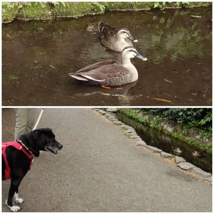 C4bbdbf9 0bc5 4fc9 a9b9 5298ad8e150c 1680740196982