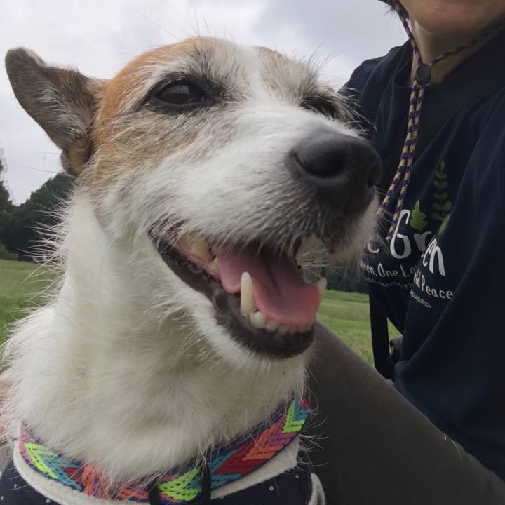 C4bbf449 b43b 4522 8ca8 fa626f31f28d 1631662386923