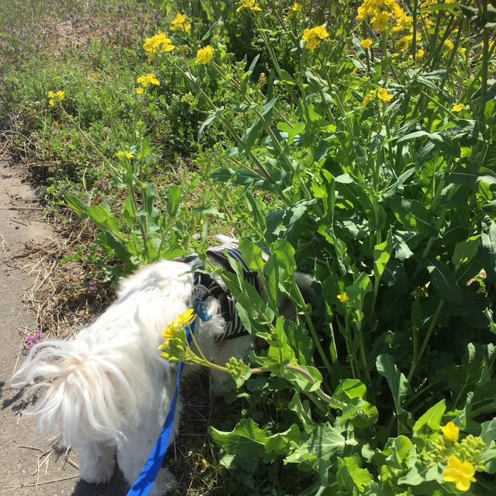 C4bc3153 8768 4ab6 bee6 e6c6968c4f1e 1616566954979