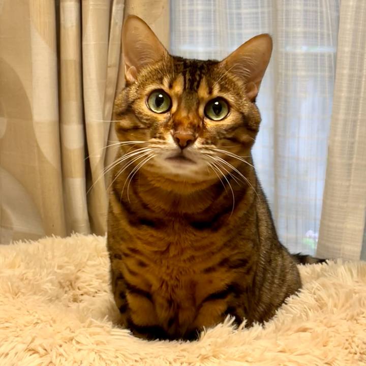 C4bc3d9e 9cb2 41e5 bde1 493bc837697d 1662195119716