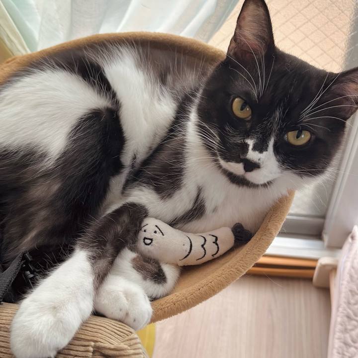 C4bc5801 fb99 467a a328 1cf656418a5d 1764570757129