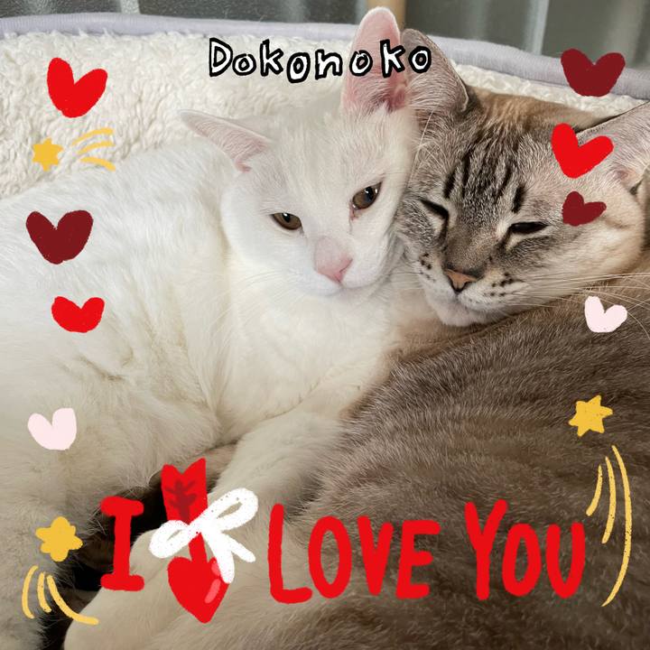 C4bc7e11 415f 4887 99f9 de50c8b5f551 1706880154588