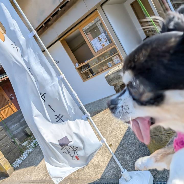 C4bca11c 7b8d 4bd1 93f0 587cfdecb9d0 1771642958343