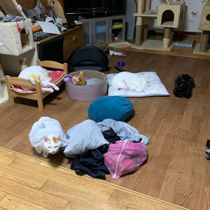 C4bd138a f3a2 484c 925e a56ffed02bdf 1573218704615