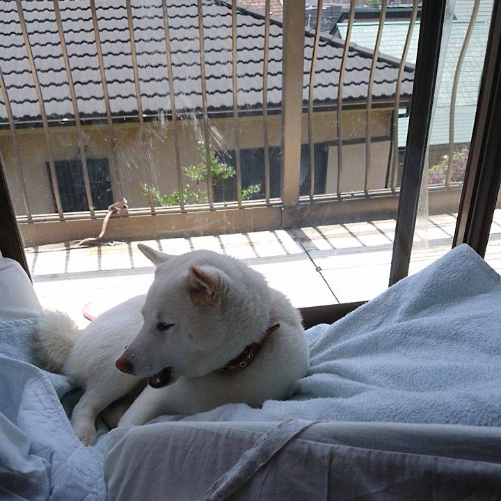 C4bd2005 ceda 4072 9994 1b04d8424426 1526351169761