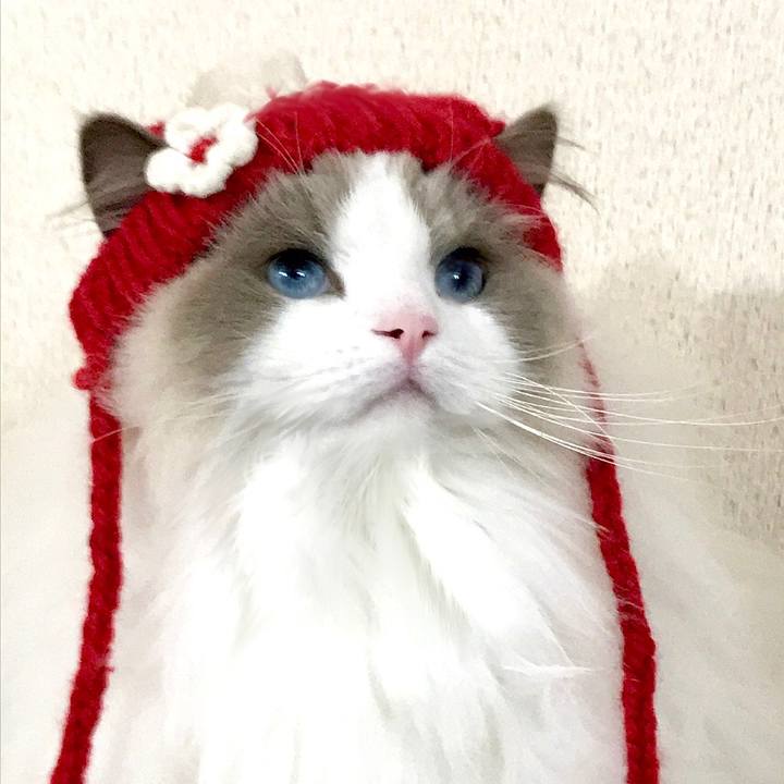 C4bd249c 9787 43e6 8def 6eeca7c5f6b8 1608671513072