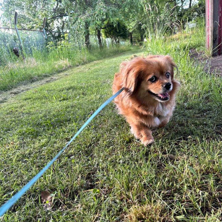 C4bd3682 ca08 4288 bff7 a080de8a0314 1717192286762