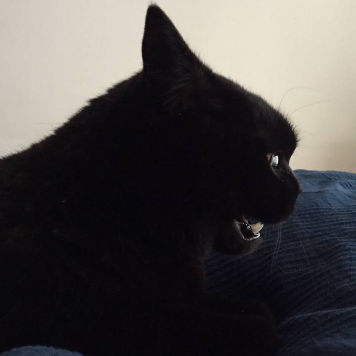 C4bd439e 63db 4a0e 8f9c b89e46f693d5 1570776683199