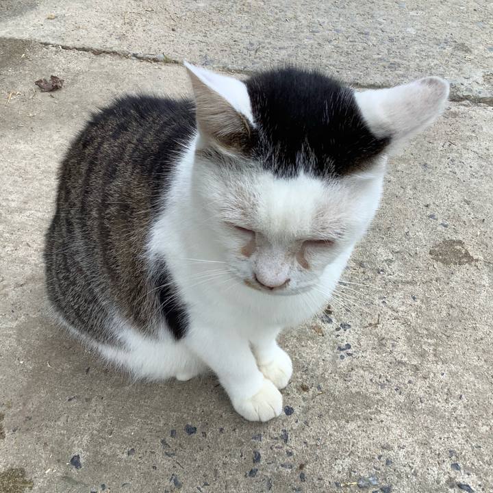 C4bd538d 8314 4f4a bca5 4056bcdee4bf 1600570400529