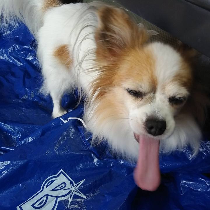 C4bd84c0 957a 46af 9a61 9f0ff8b235c4 1537059712646