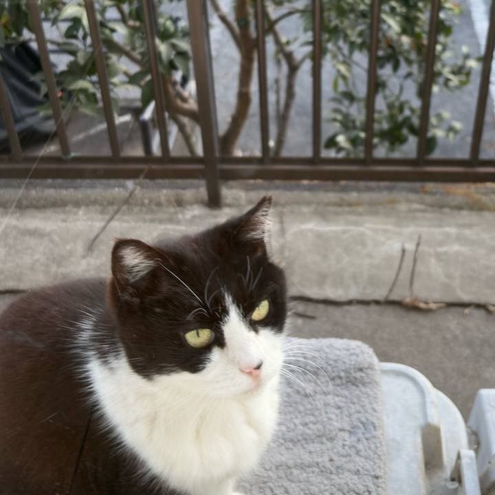 C4bd8812 c787 4bb8 8b21 b2909f1ce60b 1771660421136