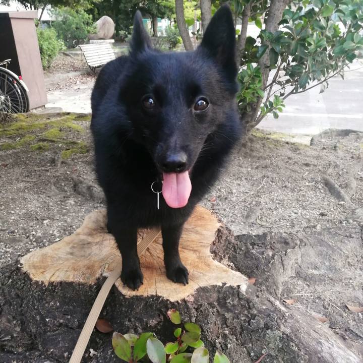 C4bdd392 0e54 4cb9 b944 aa0034e77f65 1626210005339