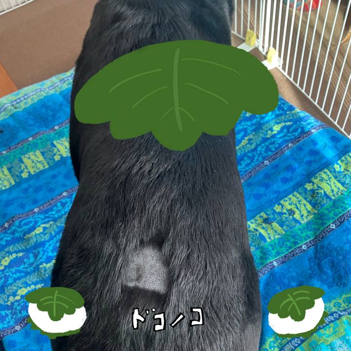 C4be094b 4392 4c77 b950 c74ed08a327a 1749212753313