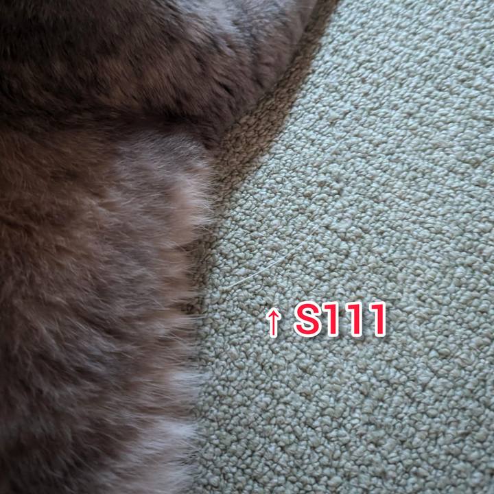 C4be0bb2 62ff 4a80 a285 5b3f8fbda212 1719381344565