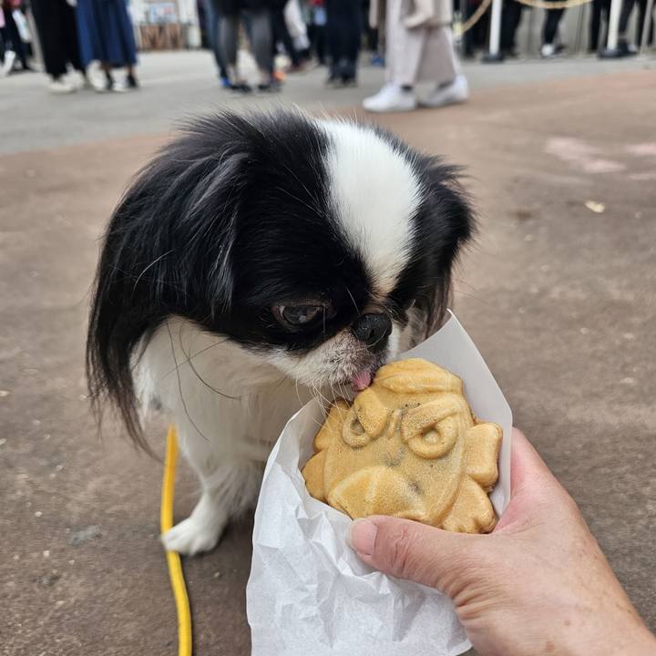 C4be8dc7 48ba 4d30 adfb 39fcbc26c10d 1700098020028