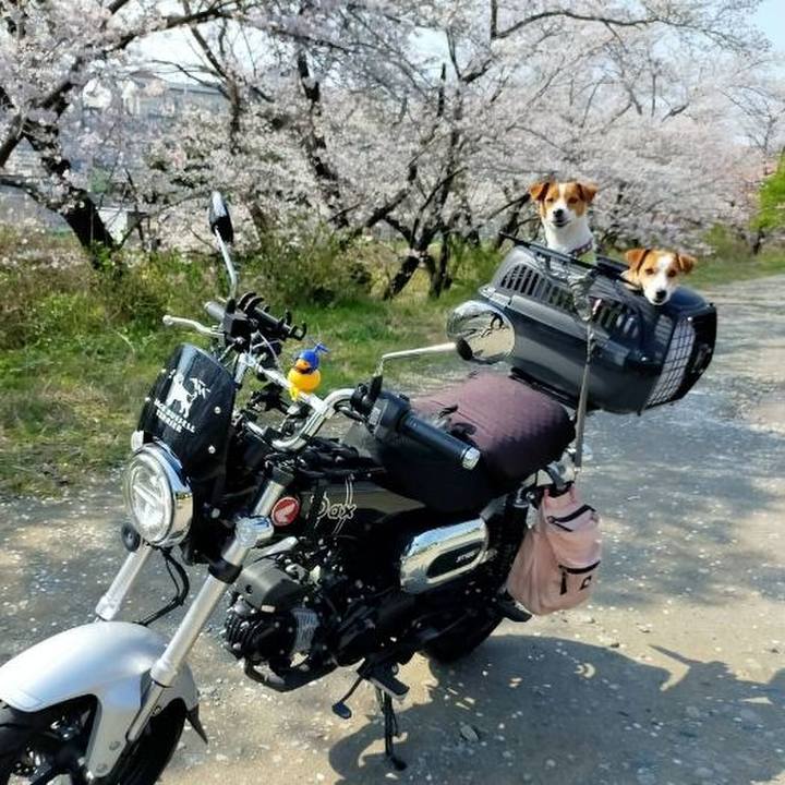 C4bea18e f2b5 46e6 aa2c 151555125423 1774774840955