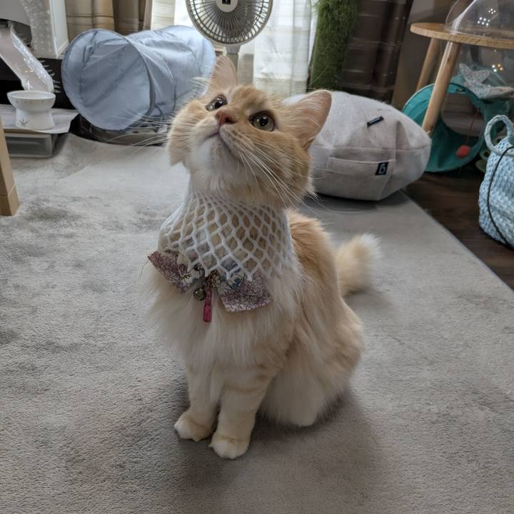 C4bf05d4 d6ce 4649 a38c 5eba94dae4a4 1754539818616