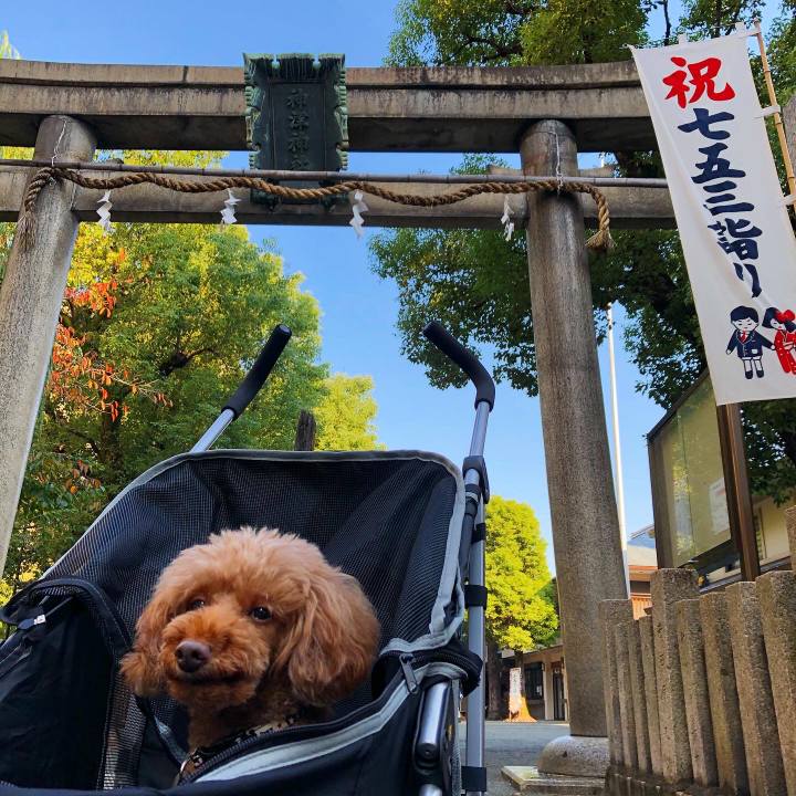 C4bf153f b5d1 495b b35d 23d7d44b6419 1604796449347