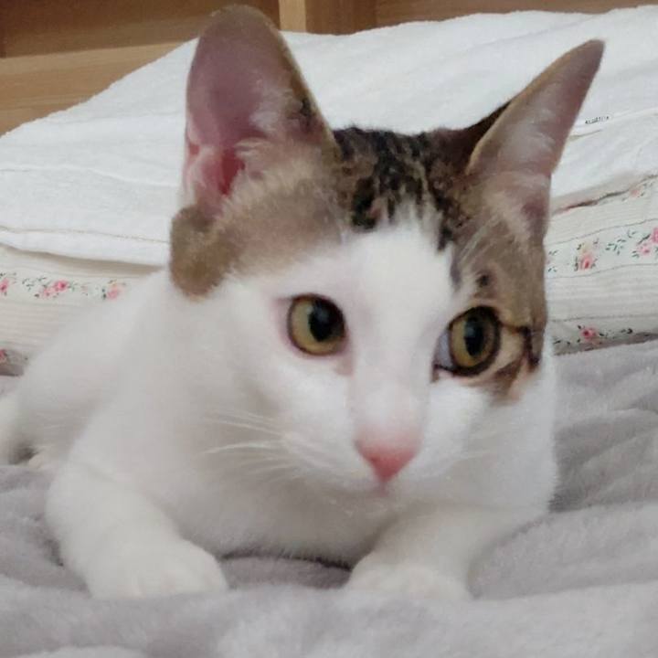 C4bf1b57 f09f 4870 9348 735bd12dfc22 1651272889910