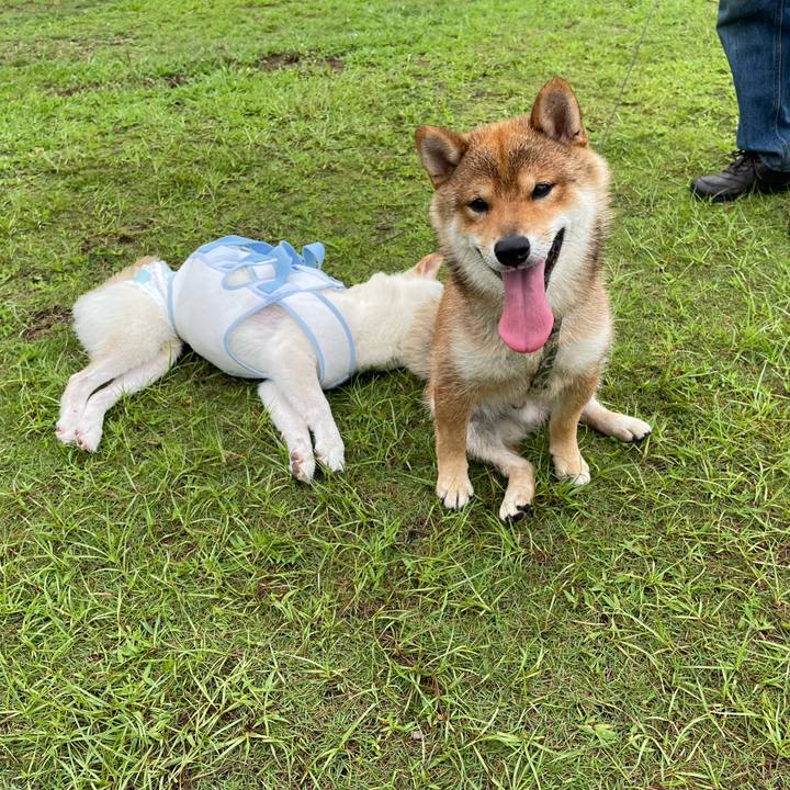 C4bf4ecb 1792 4922 a937 71673f175310 1662880581045