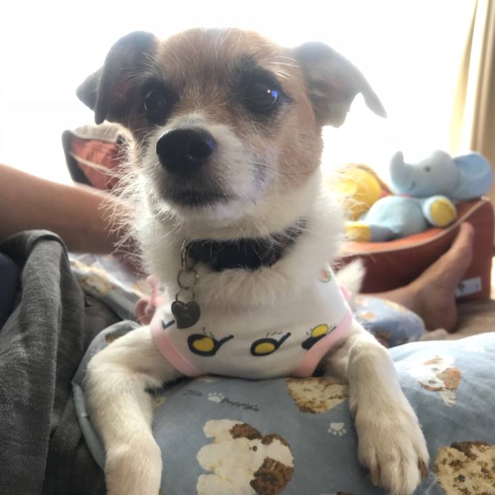 C4bf5f2d 1487 4eb9 bd48 c75b5f483daa 1531528819065