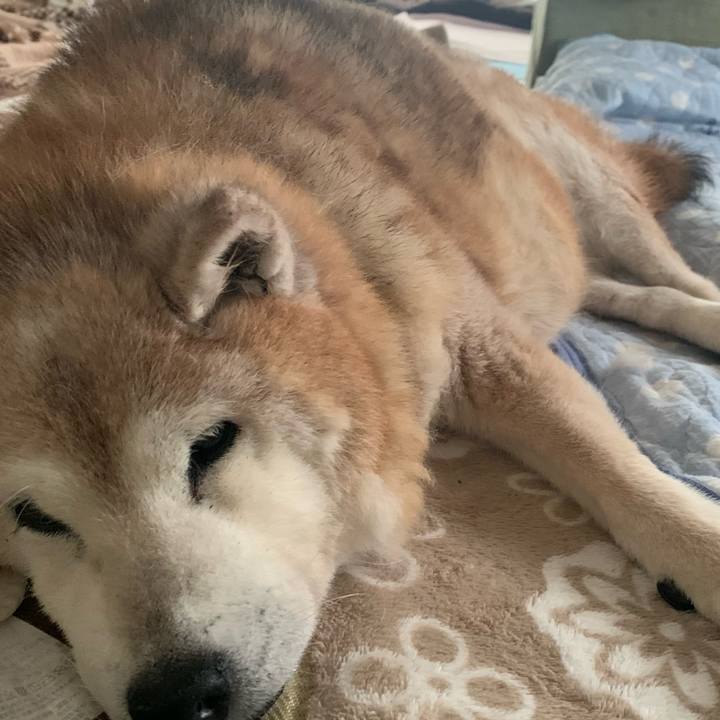 C4bf8f76 a79b 4e88 9530 d61ad9fda7ef 1689808196781