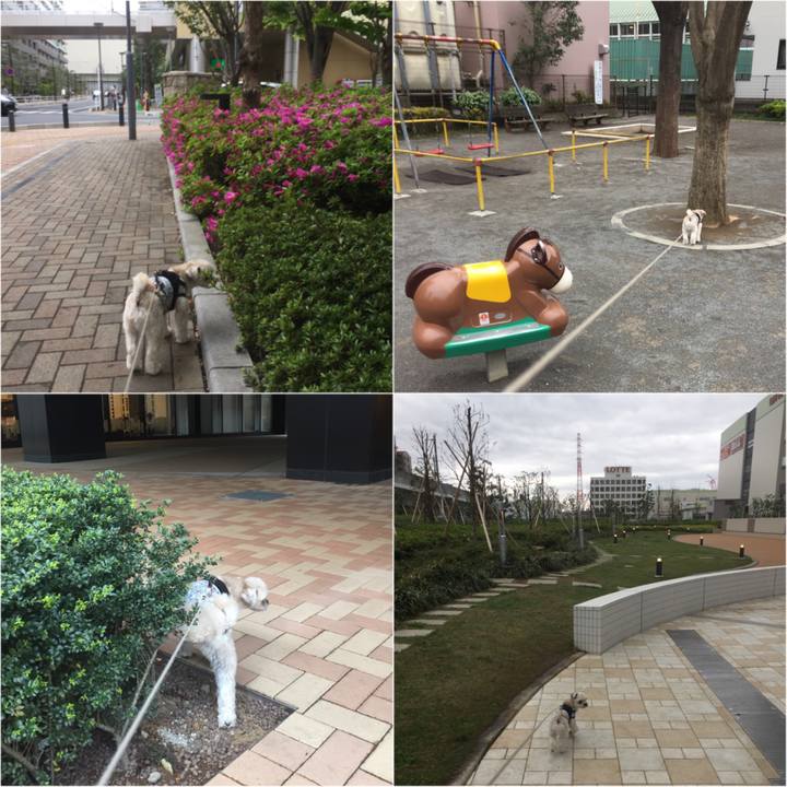 C4bfad2b eb89 4872 abfc 4cdde57851b1 1523778392669