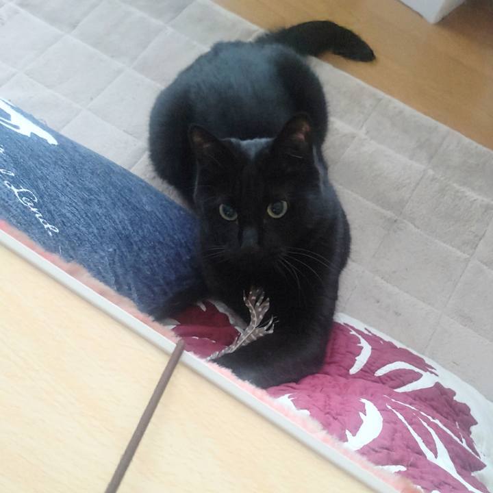 C4bfcead 9168 41c2 98b7 30873c818f84 1742604351635