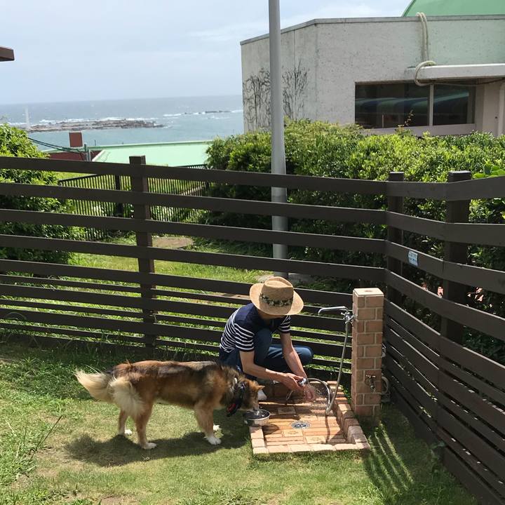 C4bffe69 5efc 497e bc51 1ac7ada8d63a 1530679810799