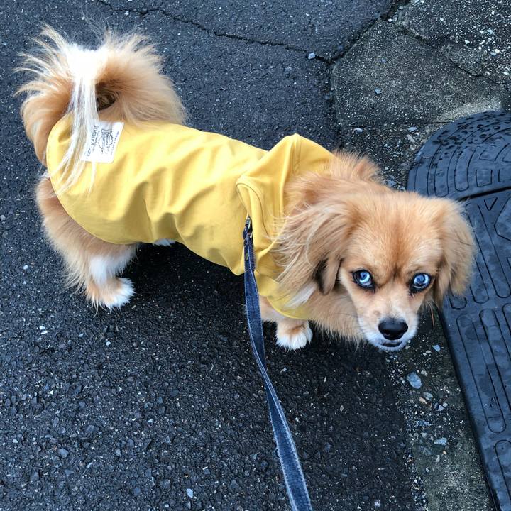 C4c02b47 cedf 4939 bca2 734dae0f32c1 1530999808856