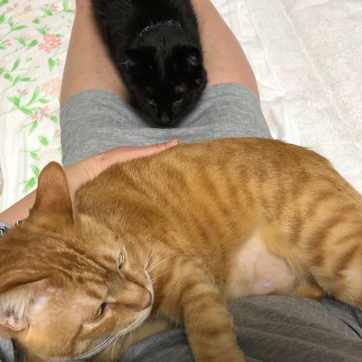 C4c02e33 671f 4c00 814e 95c1cfbf58ae 1579122927507